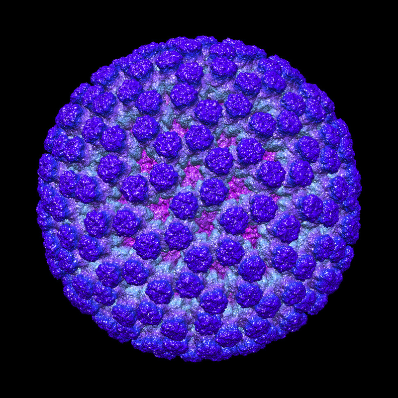 Illustration for article titled The Astounding And Horrific World As Seen Under A Microscope